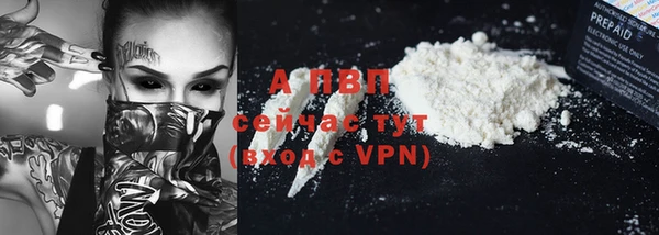 винт Абаза
