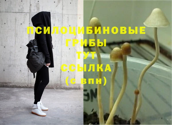 ешки Россошь